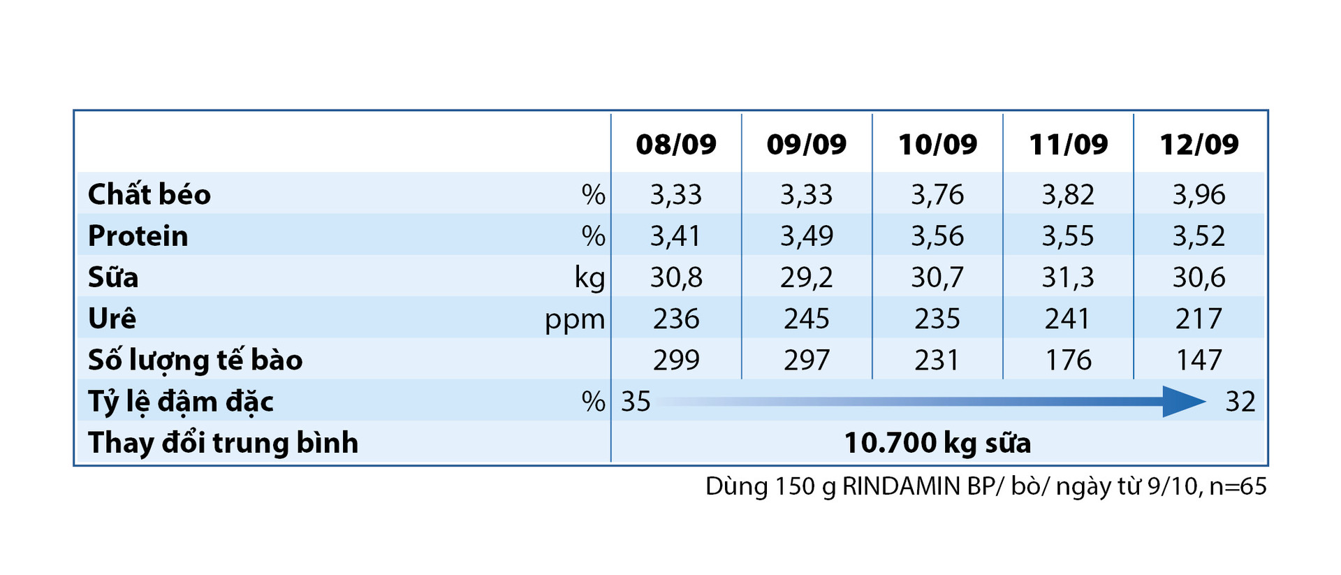 RINDAMIN BP RINDAMIN BP