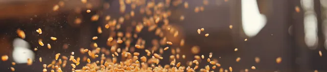 Getreide (Weizen) fällt auf einen Haufen